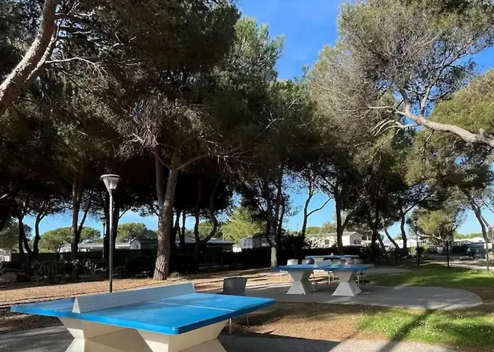 525 Proche Piscines, 3ch, Le Des Reves, Fun Zone Holiday home Lattes